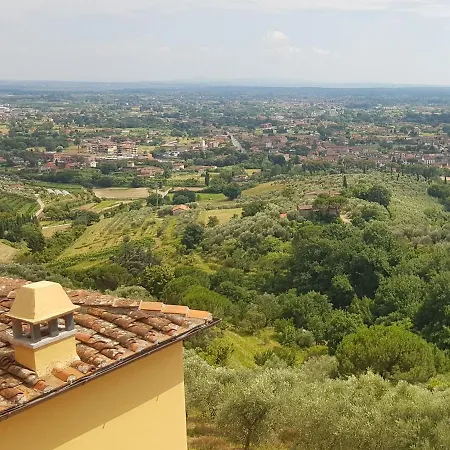 Panoramic *
